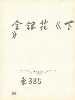 金银花《下厨房》