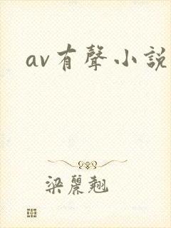 av有声小说