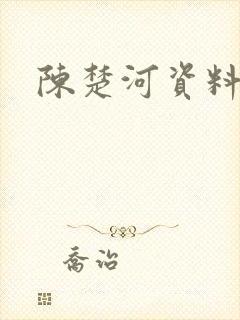 陈楚河资料