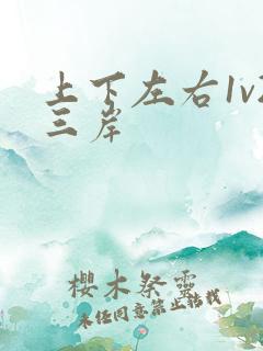 上下左右1v2三岸