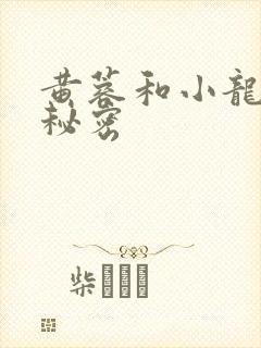 黄蓉和小龙女的秘密