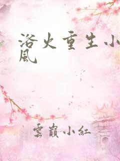 浴火重生小说陈风
