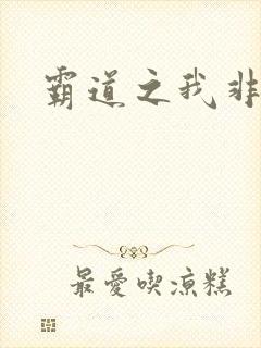 霸道之我非英雄