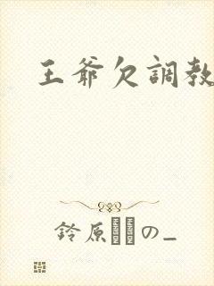 王爷欠调教