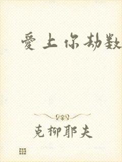 爱上你劫数难逃