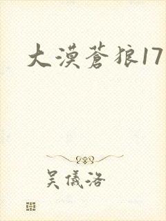 大漠苍狼17