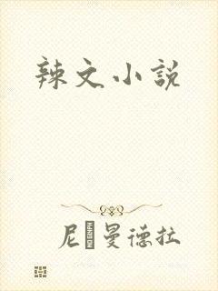辣文小说