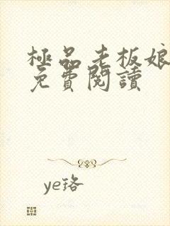 极品老板娘全文免费阅读