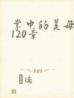 掌中的美母版主120章