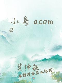 小鸟 acome
