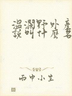 温澜野外产子小说叫什么名字