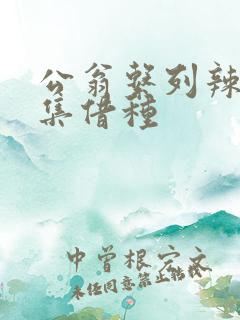 公翁系列辣文全集借种