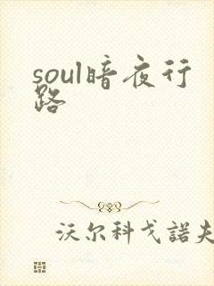 soul暗夜行路