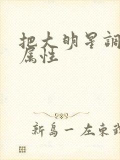 把大明星调成专属性