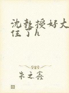 沈教授好大含不住了h
