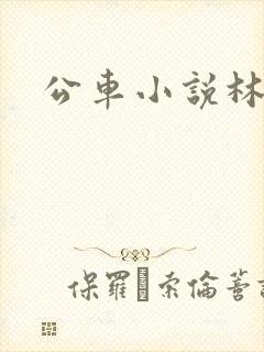 公车小说林蔓蔓