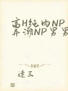 高H纯肉NP 弄潮NP男男