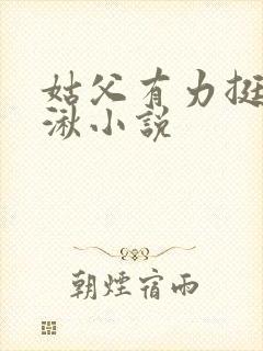 姑父有力挺送徐湫小说