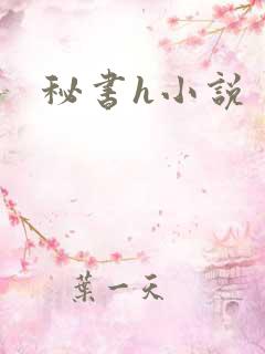 秘书h小说