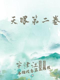 天眼第二卷