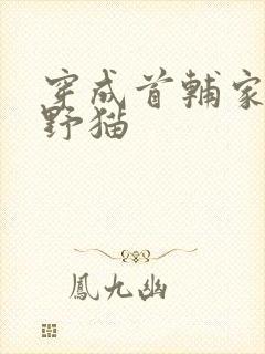 穿成首辅家的小野猫