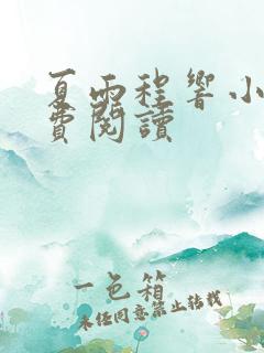 夏雨程响小说免费阅读