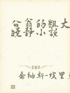公翁的粗大放进晓静小说