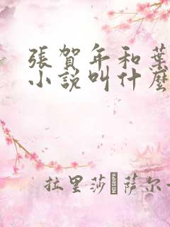 张贺年和叶繁姿小说叫什么名字