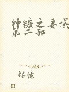 糟糠之妻俱乐部第二部