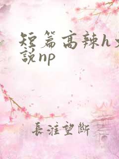 短篇高辣h文小说np