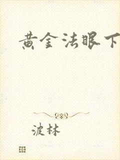 黄金法眼下载