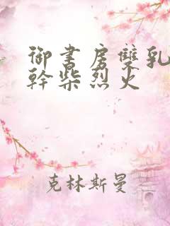 御书房双乳晃动干柴烈火