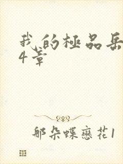 我的极品岳坶34章