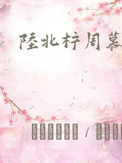 陆北柠周慕深