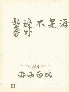 鬓边不是海棠红番外