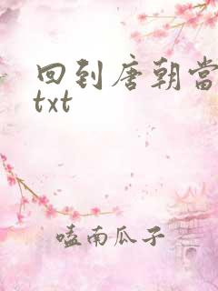 回到唐朝当皇帝txt