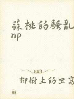 苏桃的骚乱文肉np