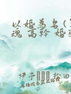 以婚为名 (军魂 高干 婚恋)