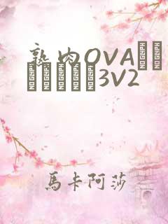 熟肉OVAちゃんはしたい3V2