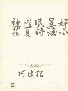 被催眠暴奸的校花夏诗涵小说