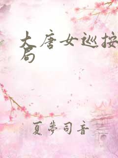 大唐女巡按大结局