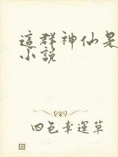 这群神仙是假的小说