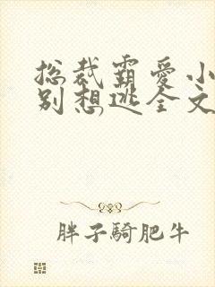 总裁霸爱小娇妻别想逃全文阅读免费