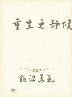 重生之静候锦年