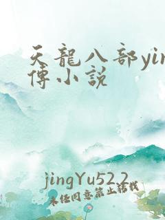 天龙八部yin传小说