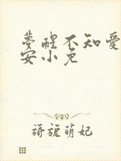 梦醒不知爱欢凉安小免