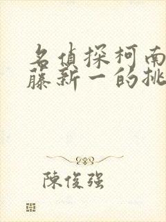 名侦探柯南给工藤新一的挑战书