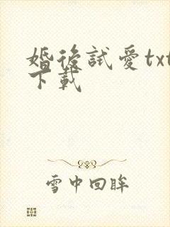 婚后试爱txt下载
