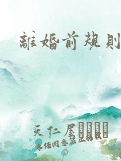 离婚前规则小说