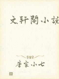 文轩阁小说网